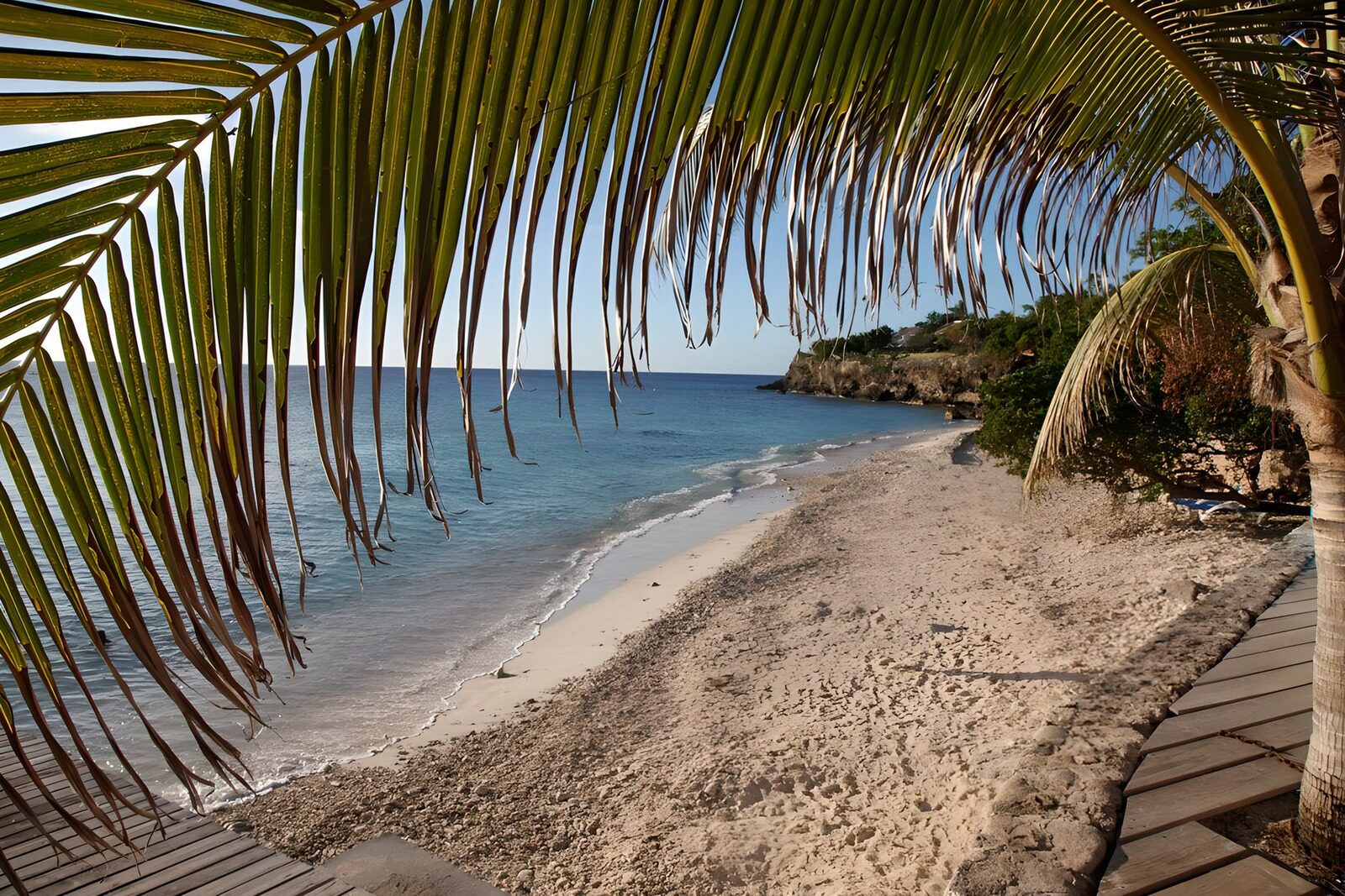 TPES41729: Playa tropical entre palmeras