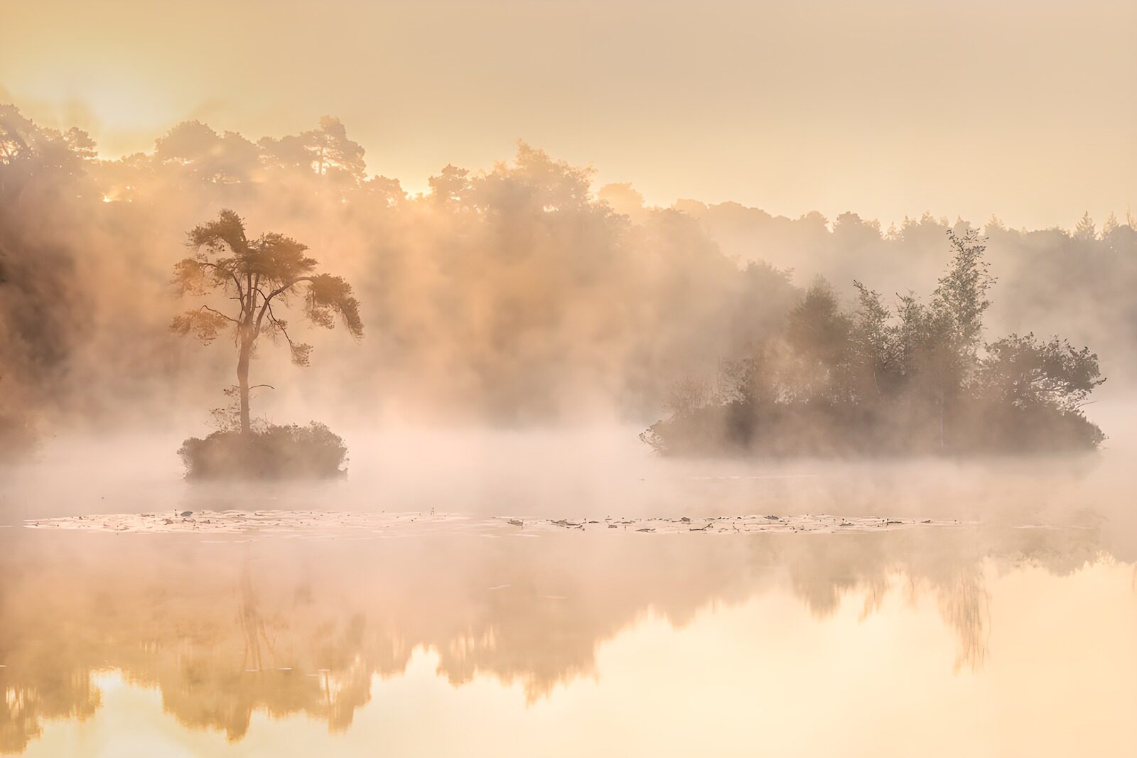 TPES44530: Islas entre la niebla del amanecer