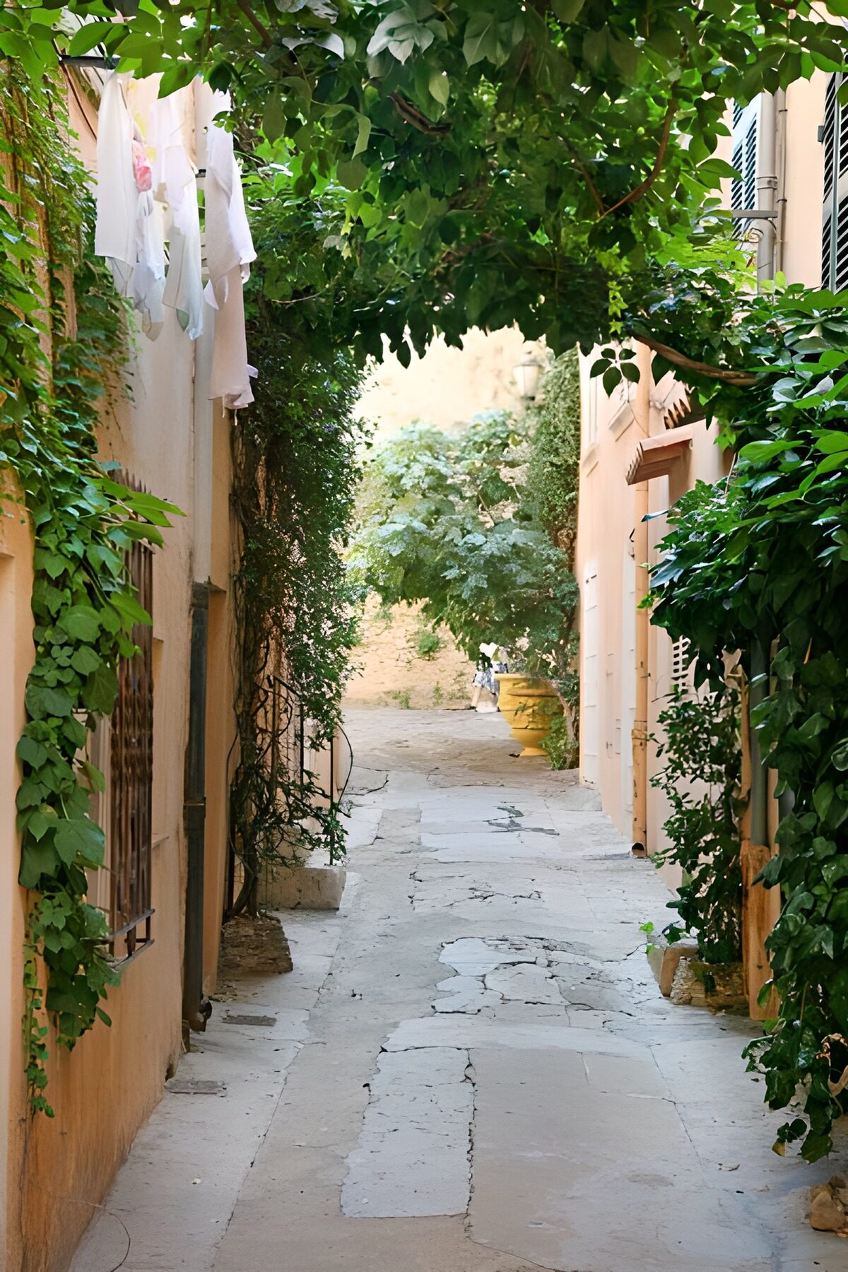 Callejón de piedra a la sombra