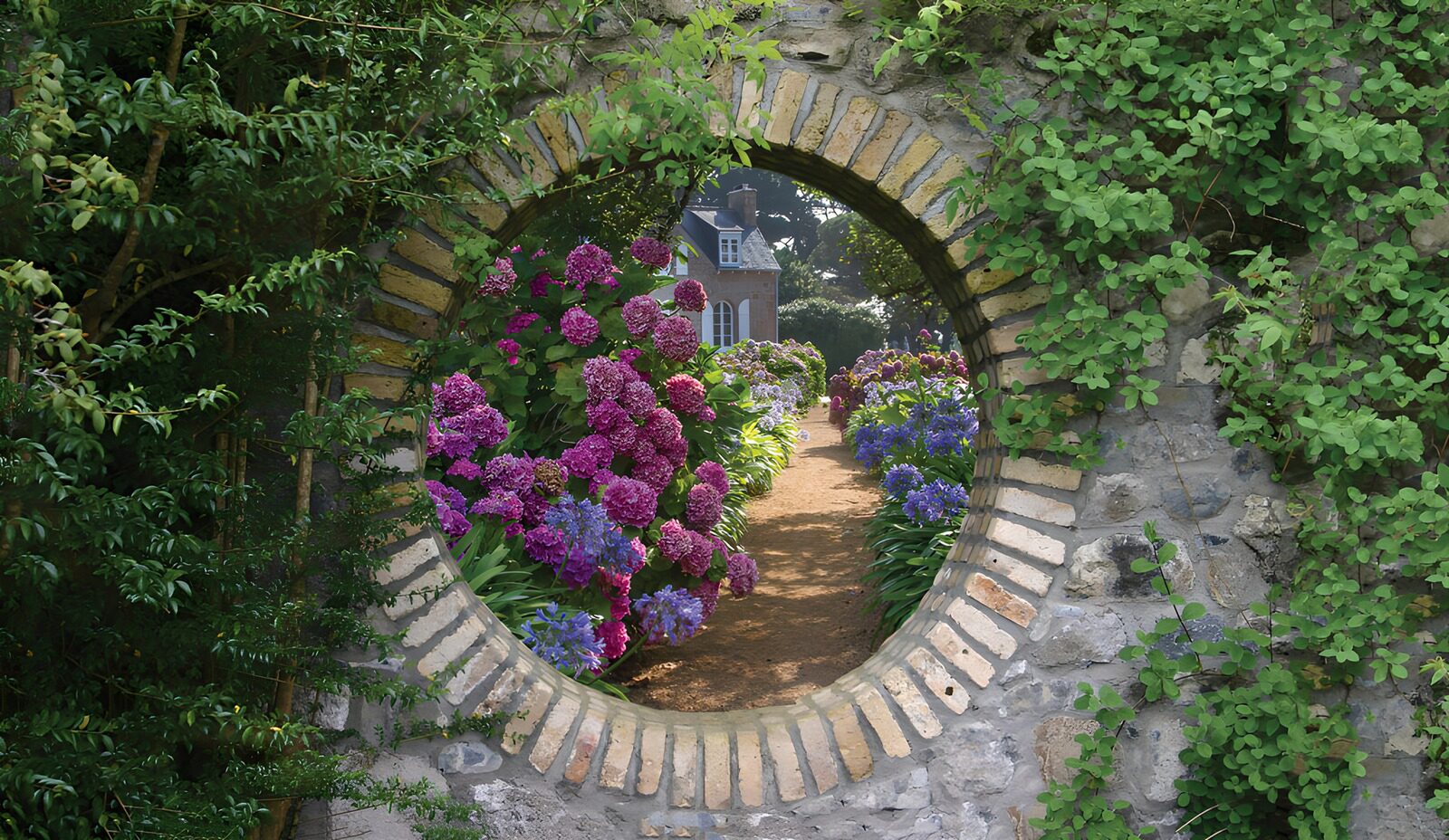 TPES24974: Hortensias tras un círculo de piedra