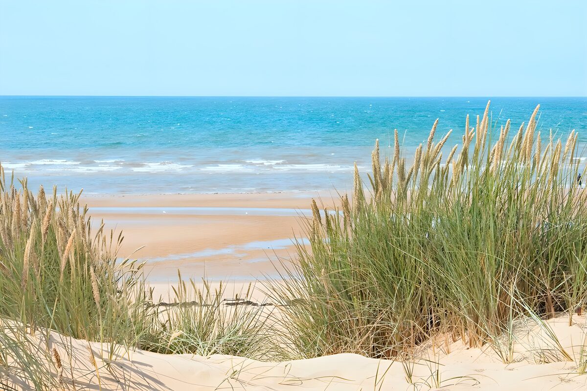 TPES52633: Dunas y mar bajo el sol de verano
