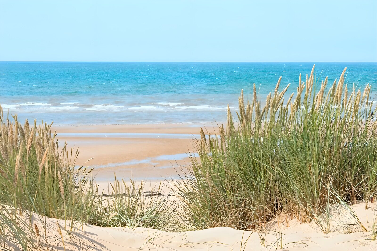 TPES52633: Dunas y mar bajo el sol de verano