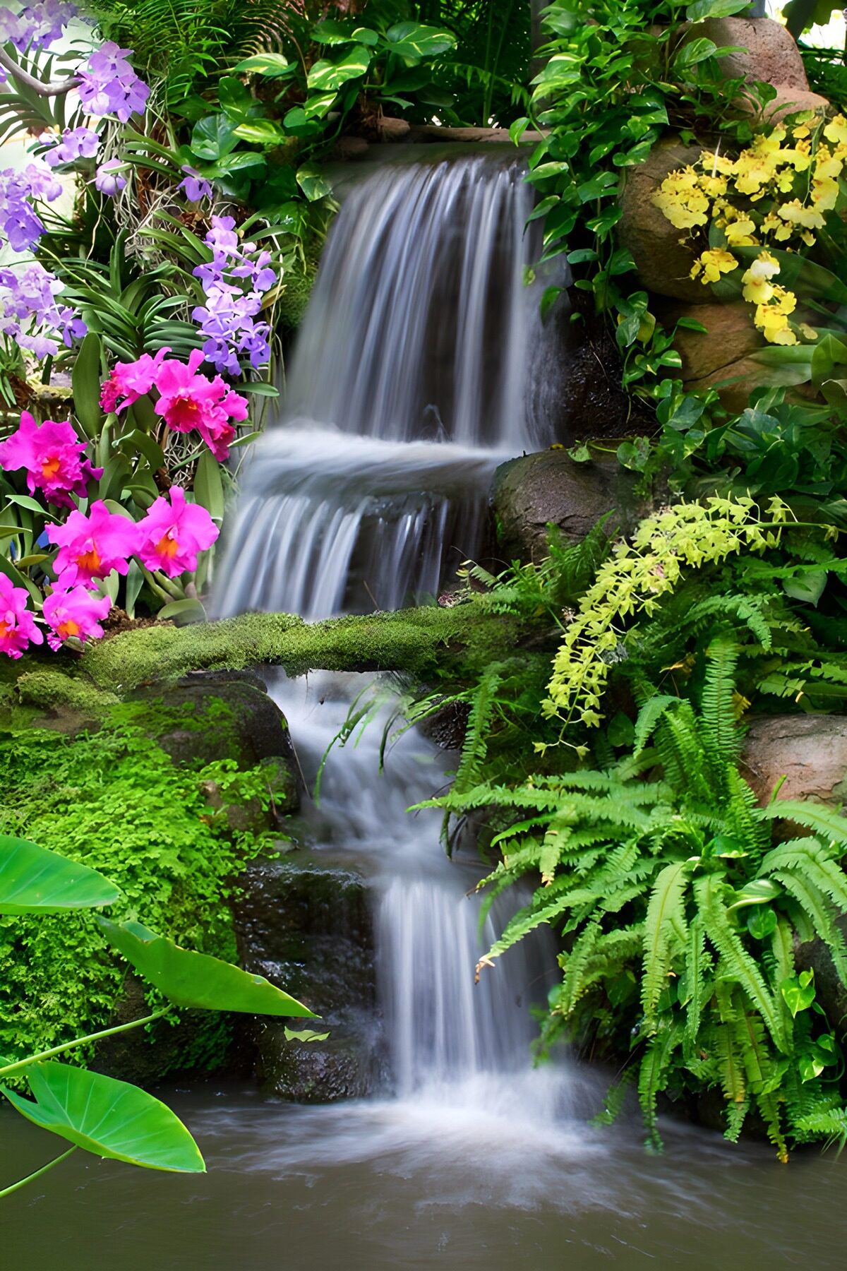 Cascada tropical entre orquídeas