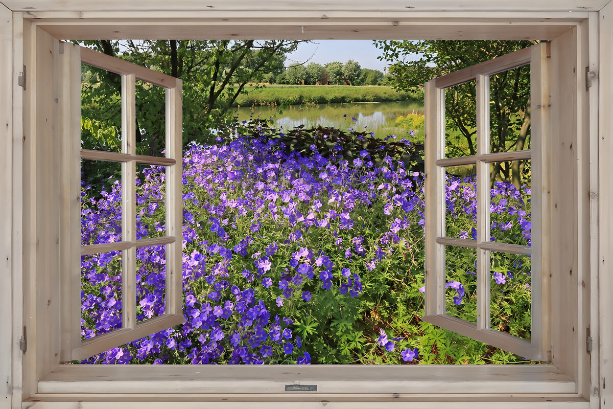 Ventana abierta a un jardín de flores