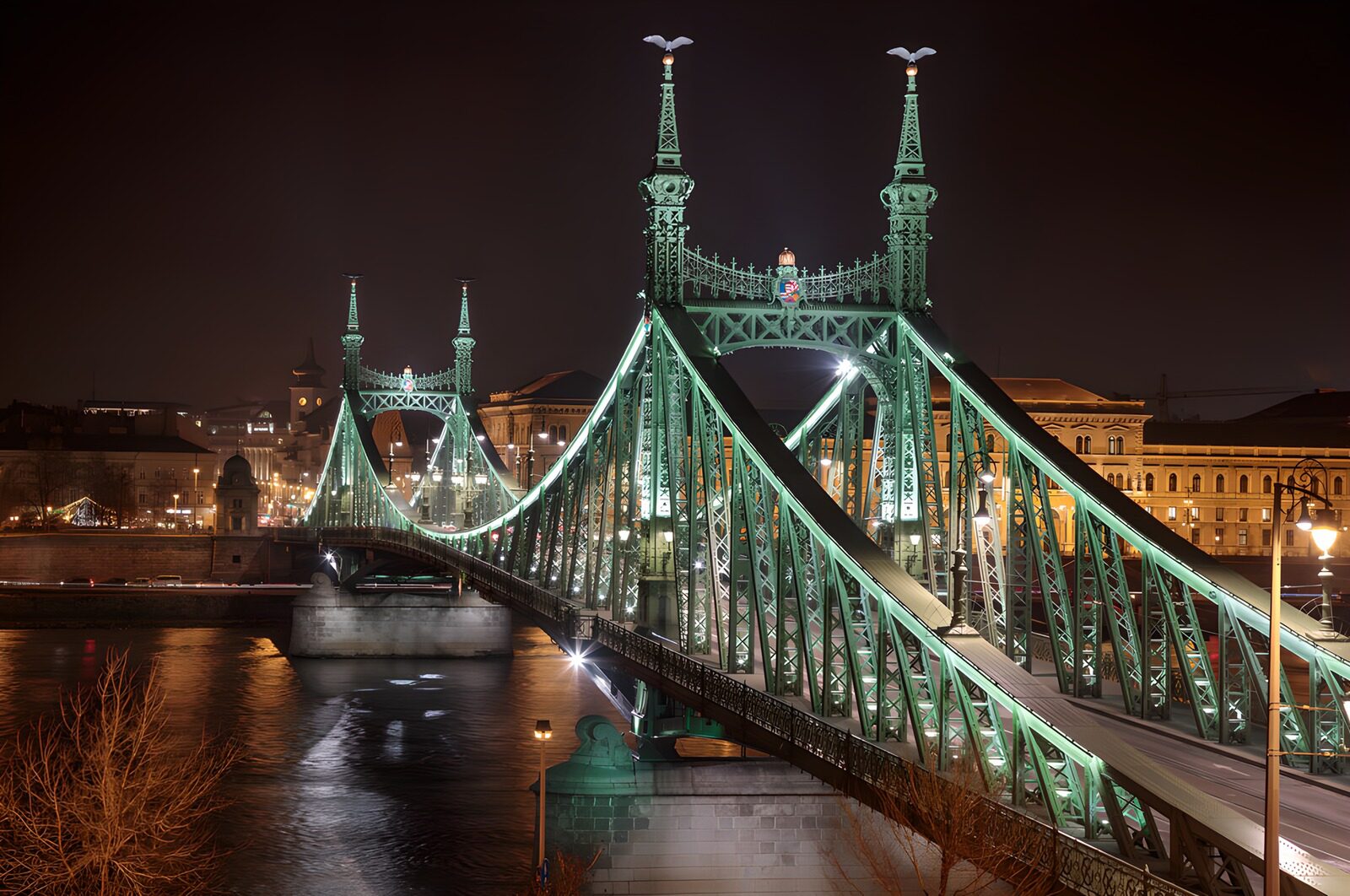 TPES24483: Puente de la Libertad iluminado de noche