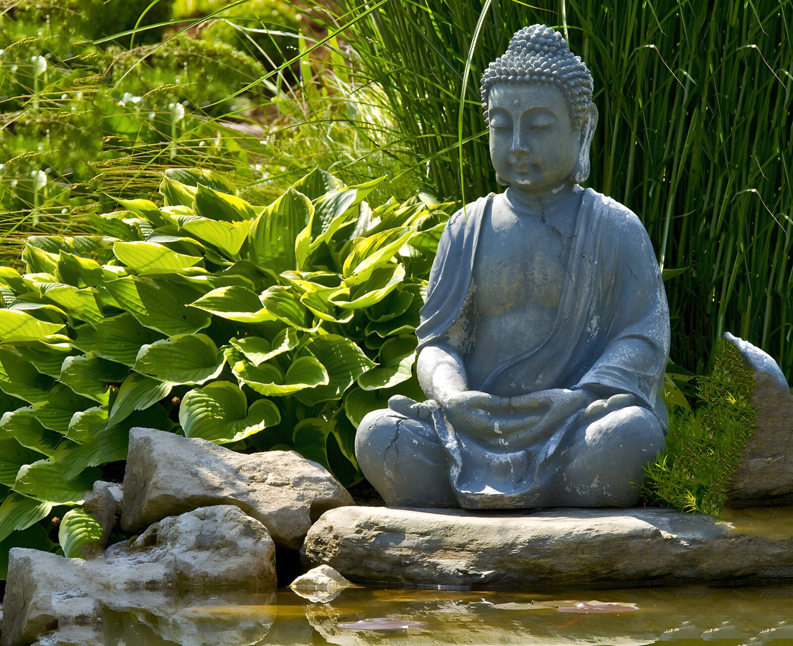 TPES54759: Buda de piedra junto al estanque