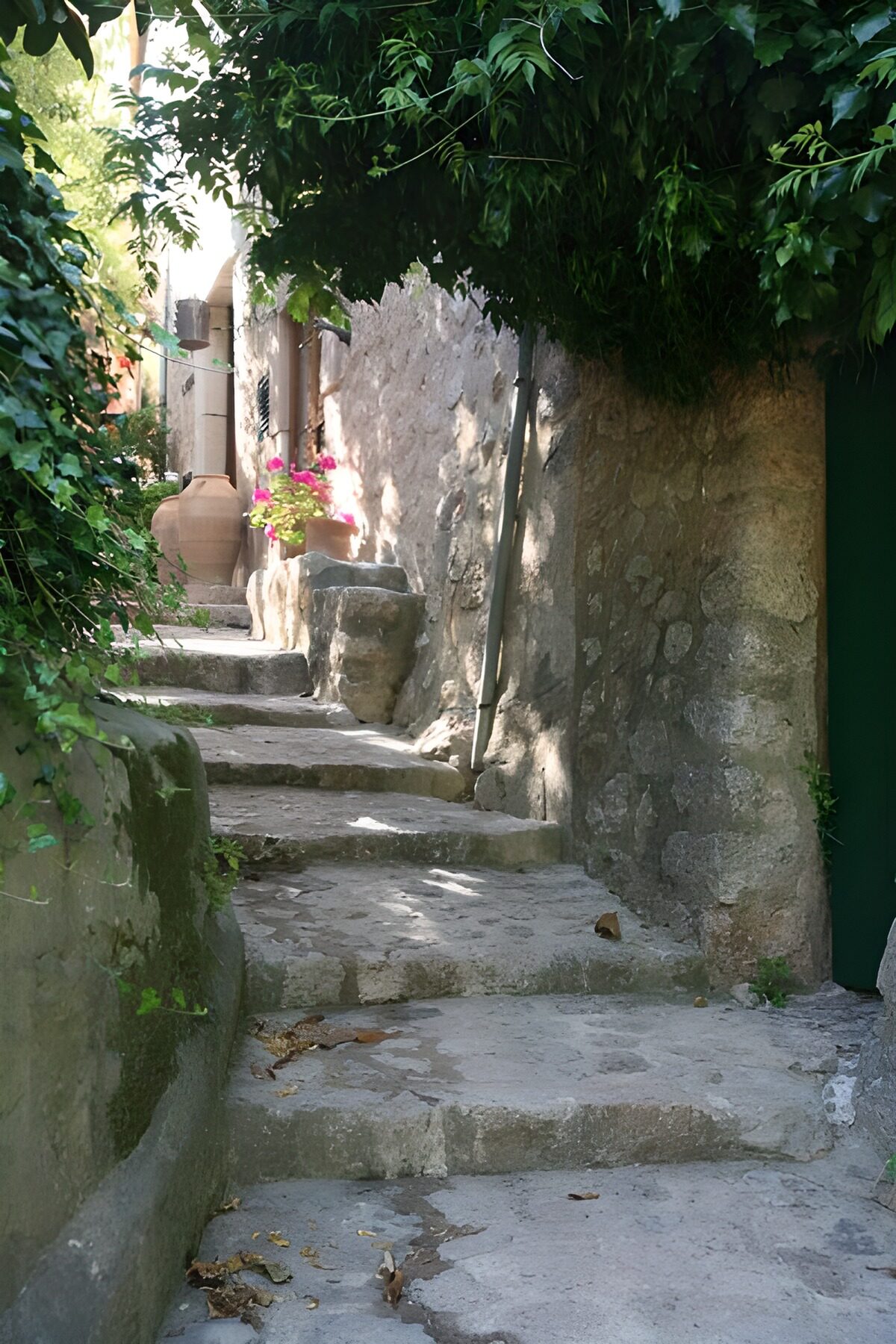 Escalones de piedra entre sombra y flores