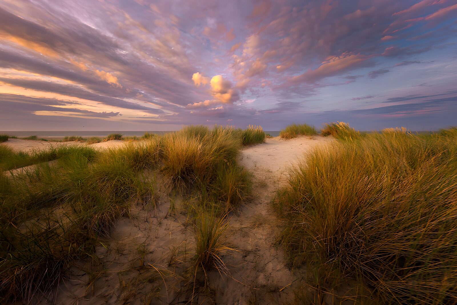 TPES70150: Dunas y hierba al atardecer