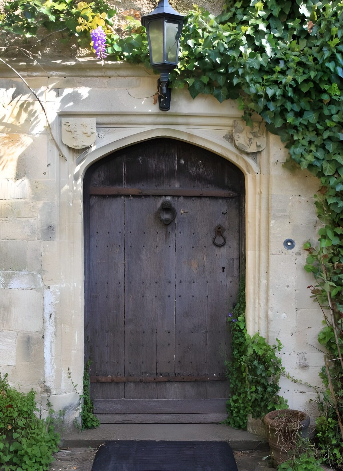 Puerta de madera entre piedra y hiedra
