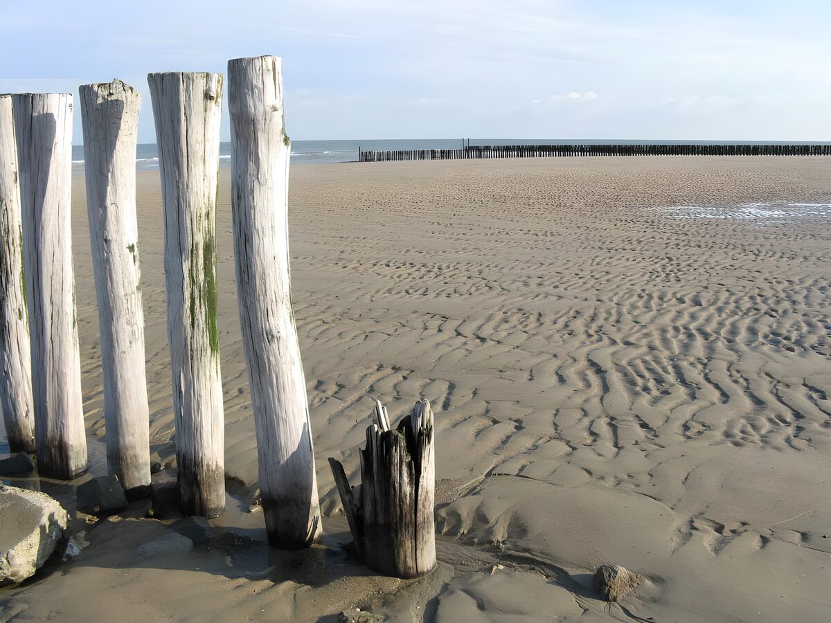Postes de madera en la playa en bajamar