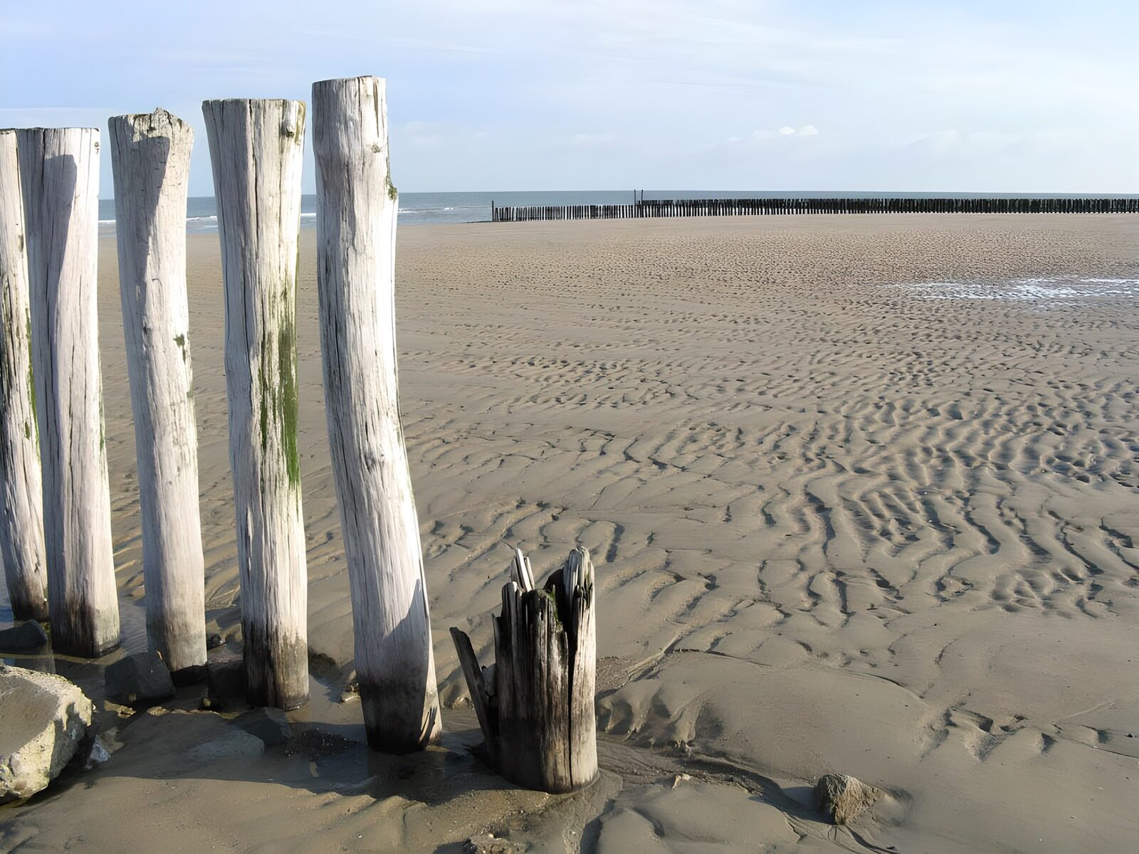 TPES68525: Postes de madera en la playa en bajamar