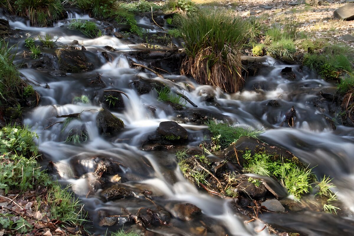 Pequeñas cascadas entre rocas y verdor