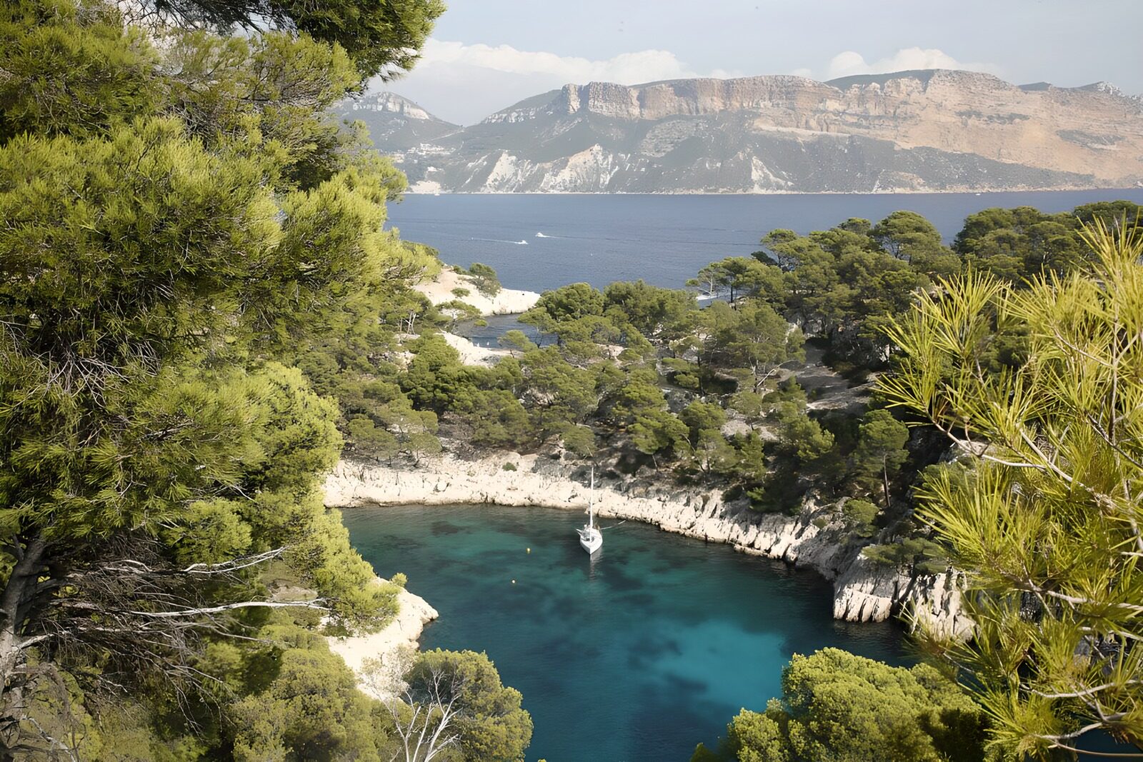 TPES53646: Cala turquesa con velero entre pinos