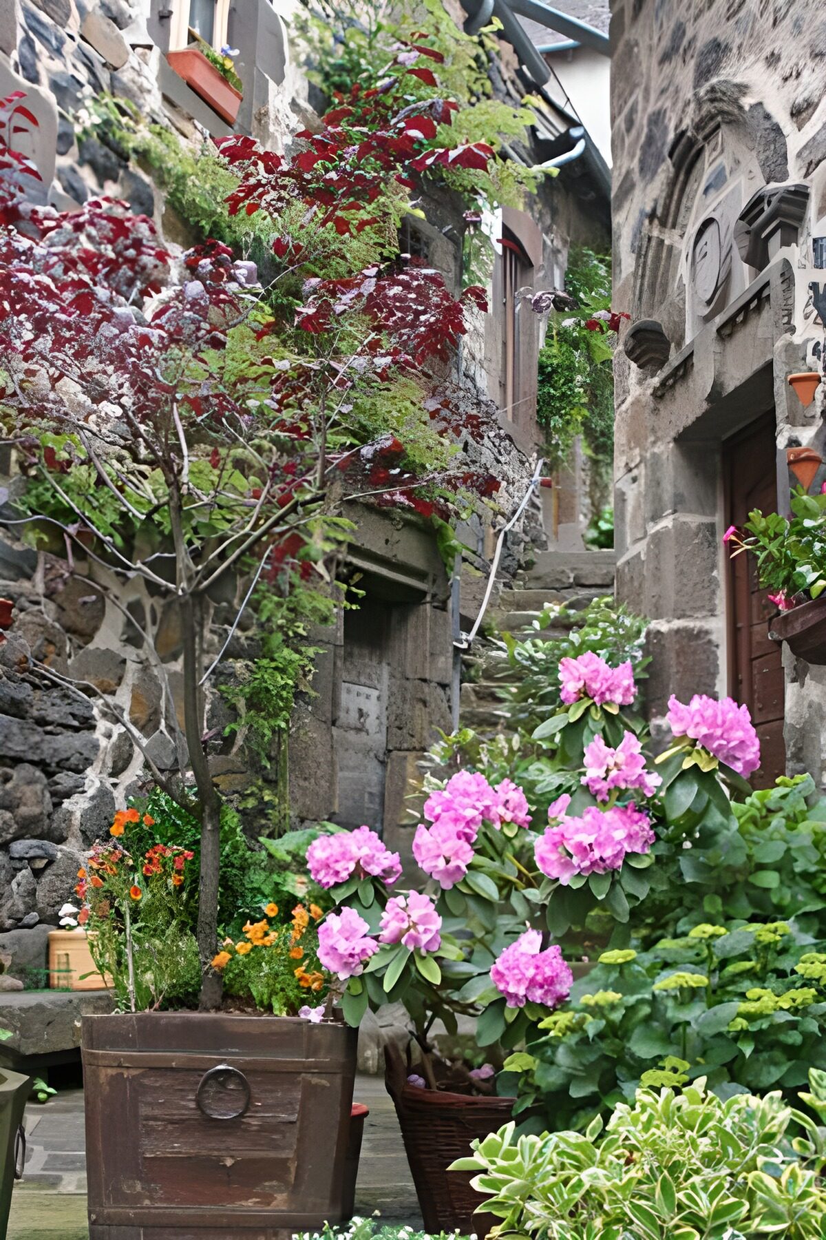 TPES71525: Callejón de piedra entre flores rosas
