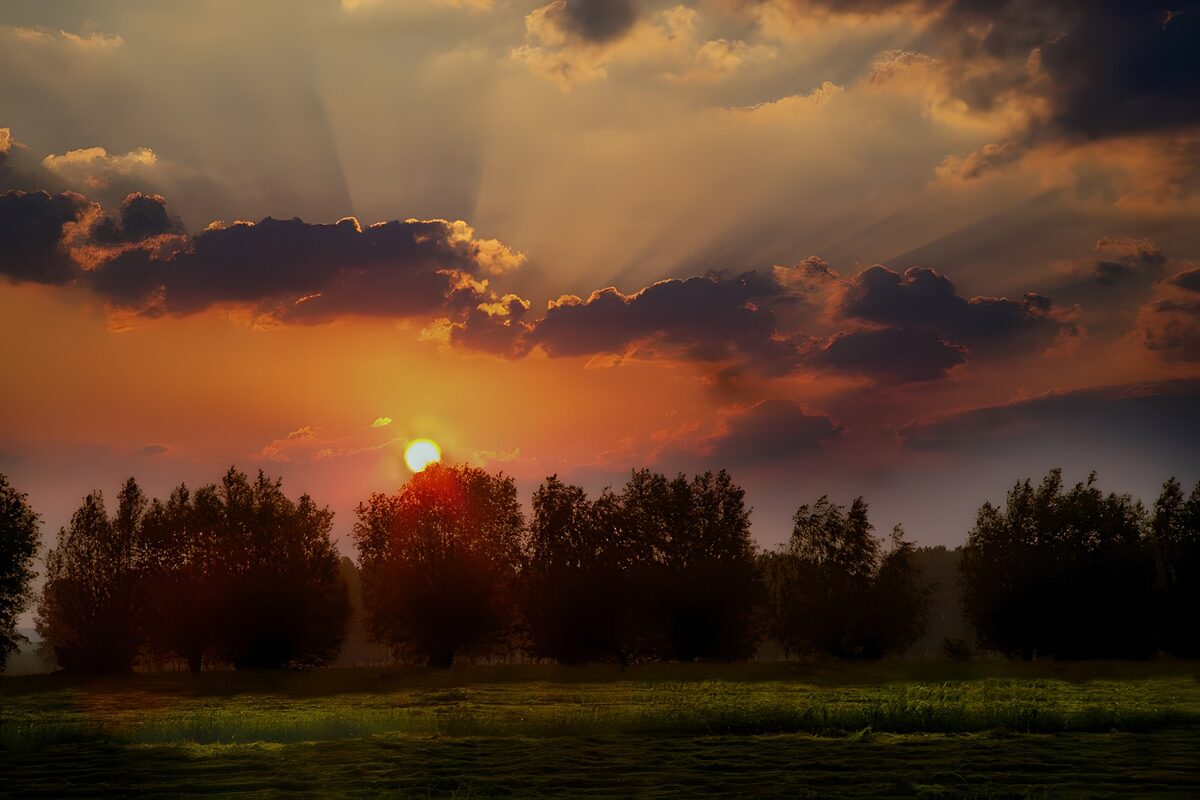 Atardecer sobre árboles y pradera