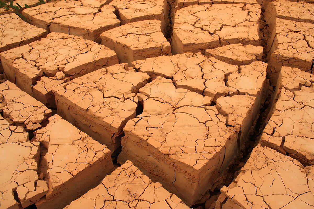 Tierra reseca y agrietada al sol