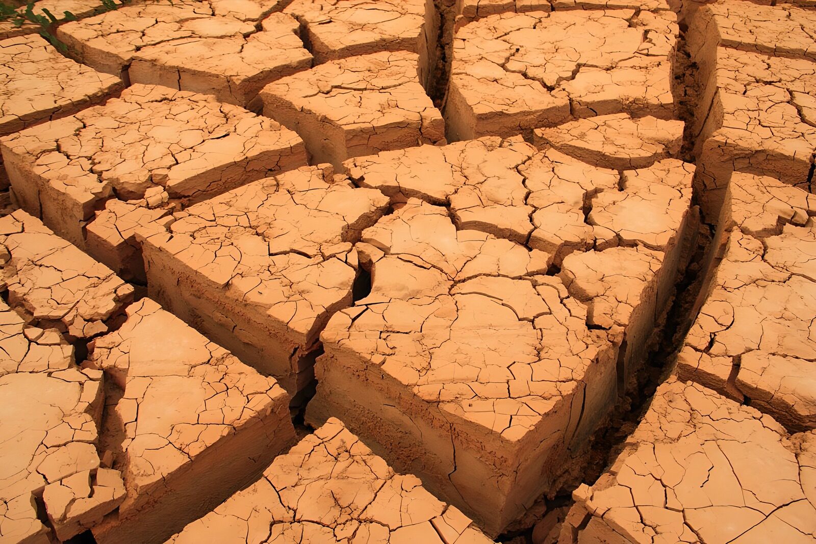 TPES36574: Tierra reseca y agrietada al sol