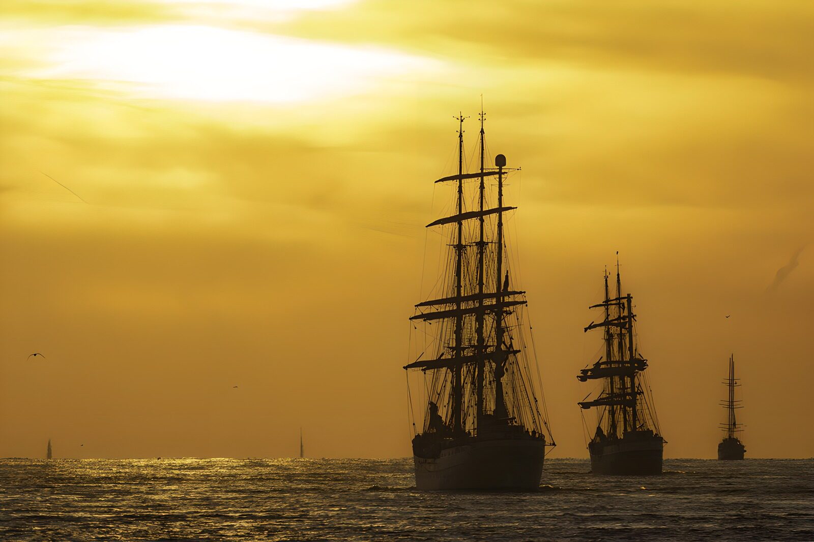 TPES58295: Tres veleros a contraluz al atardecer