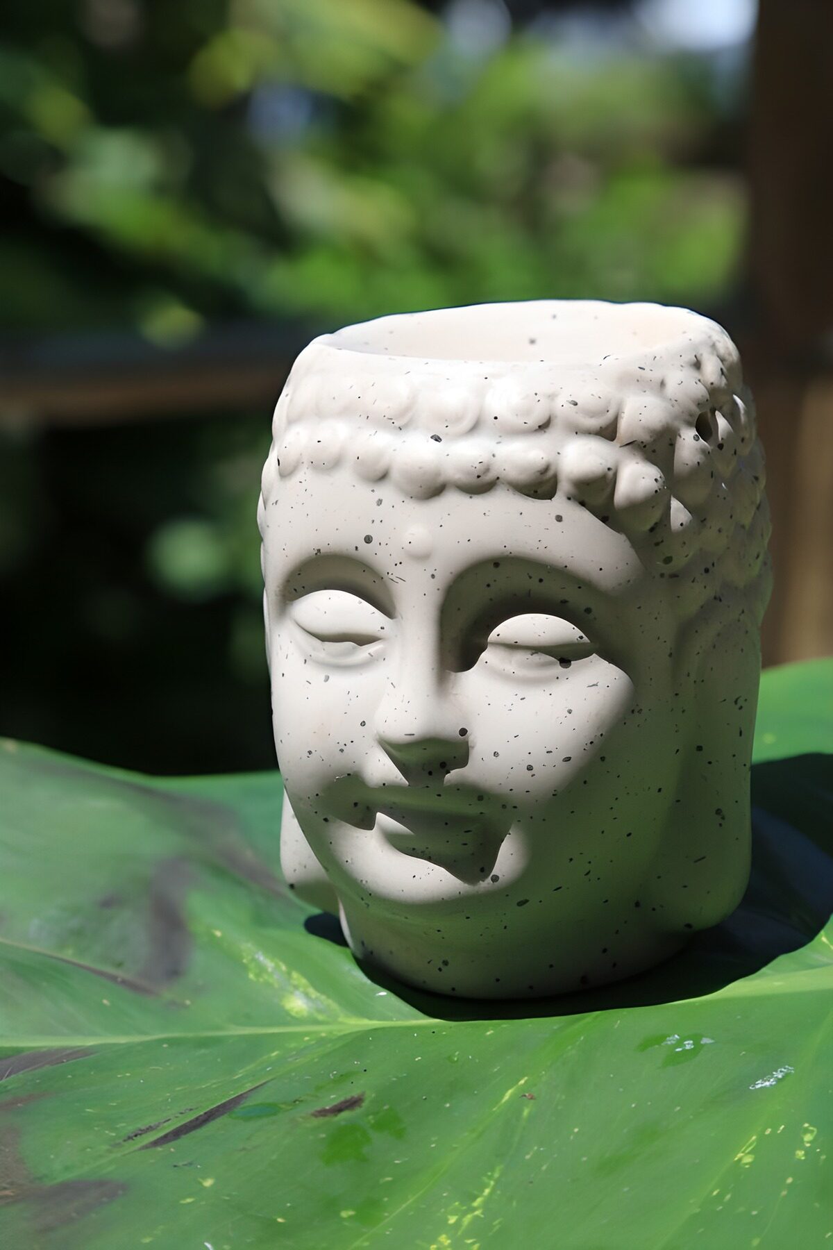 TPES93560: Cabeza de Buda blanca sobre una hoja