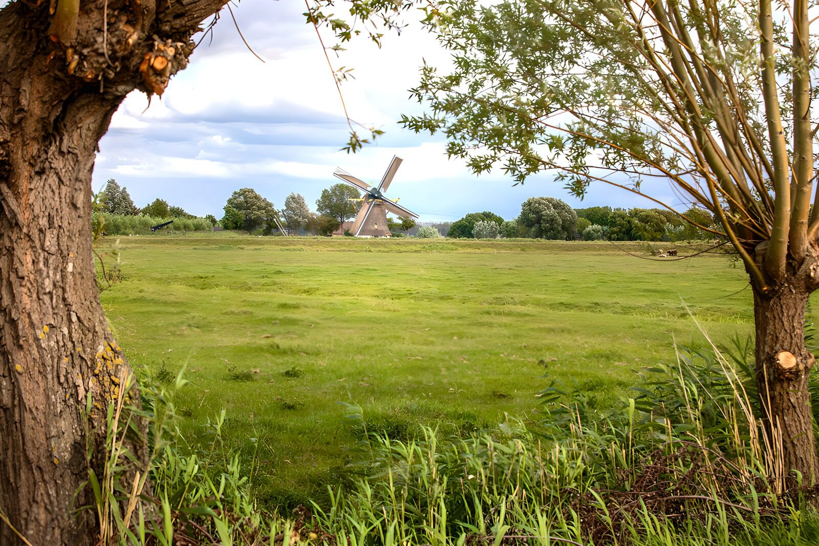 TPES91484: Molino de viento tras la pradera verde