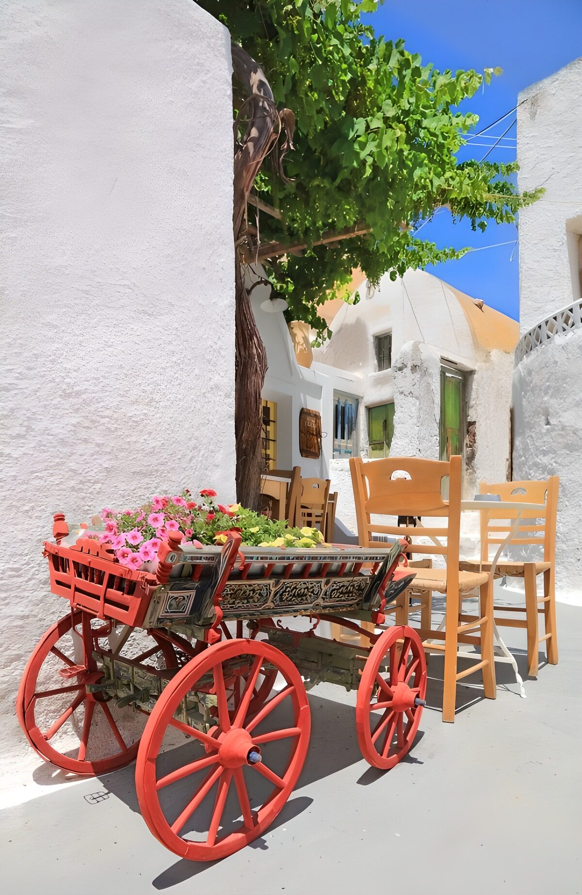 TPES78276: Carreta de flores en un patio soleado