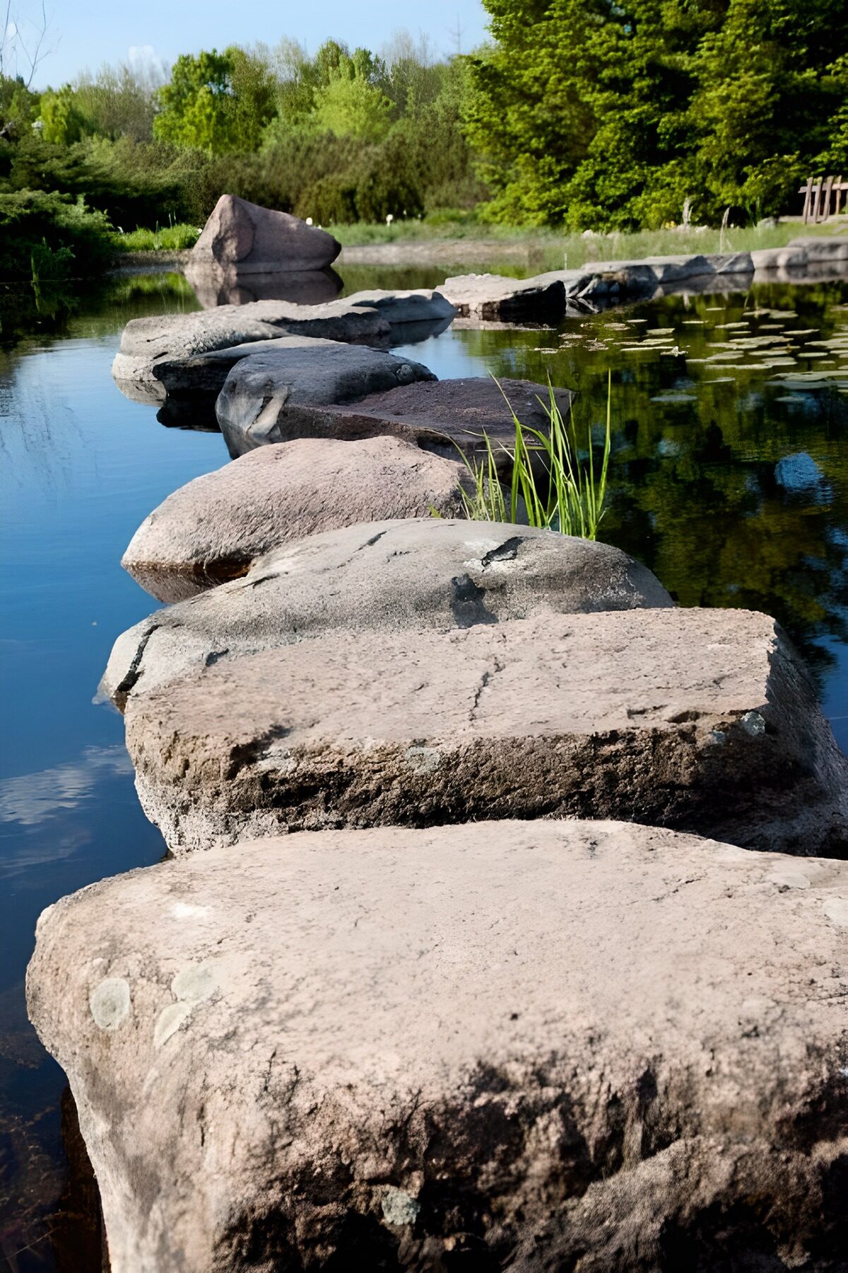 TPES73669: Paso de piedras sobre un estanque en calma