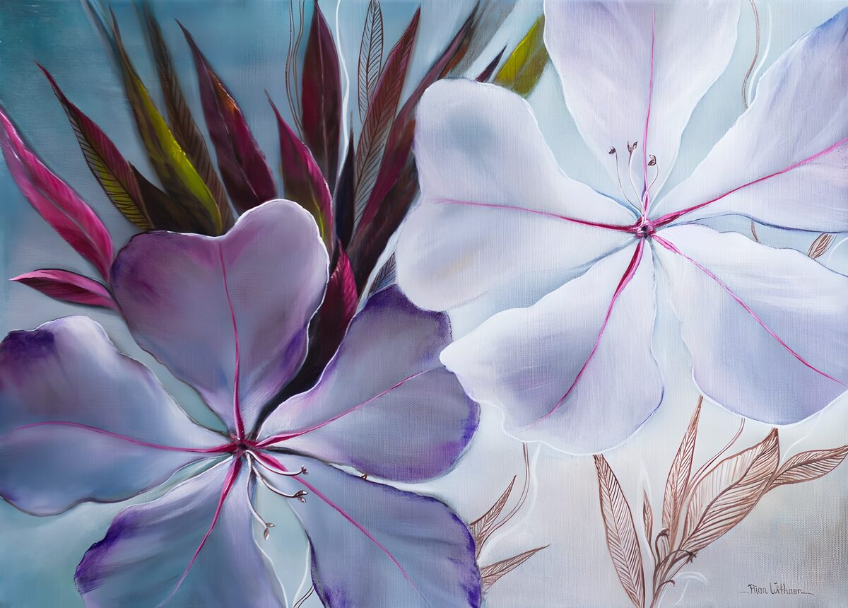 TPES32217: Flor blanca y flor lila sobre azul