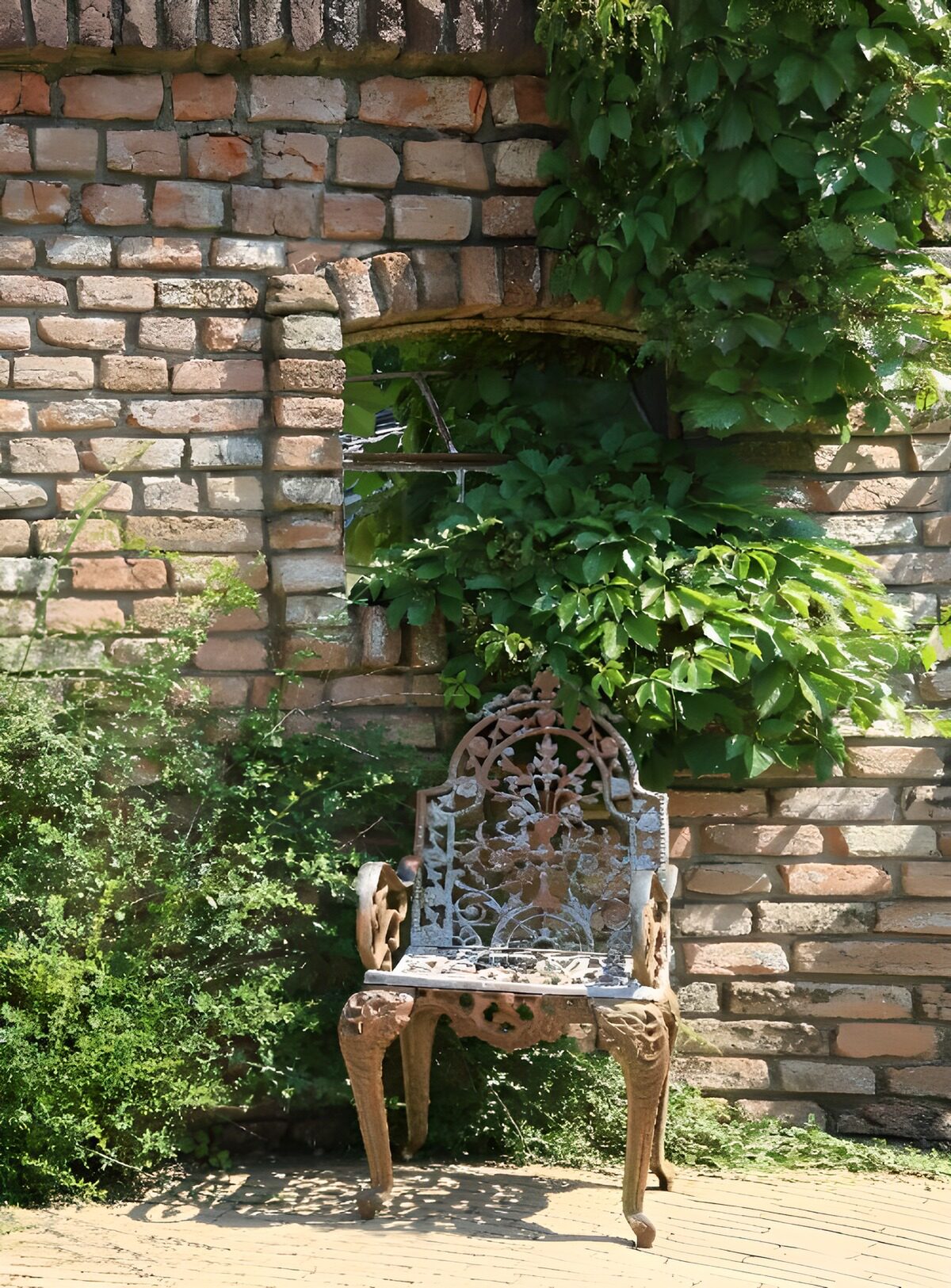 TPES65306: Silla de jardín al sol entre trepadoras