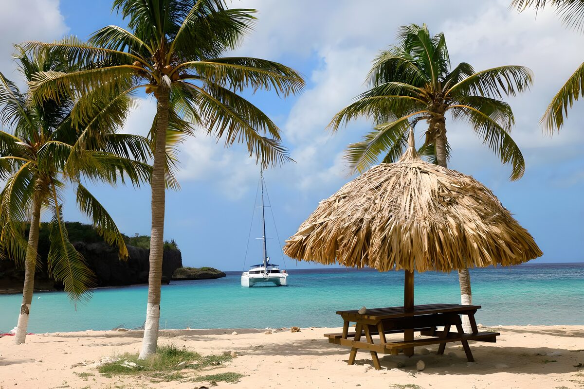 Playa tropical con palmeras y catamarán