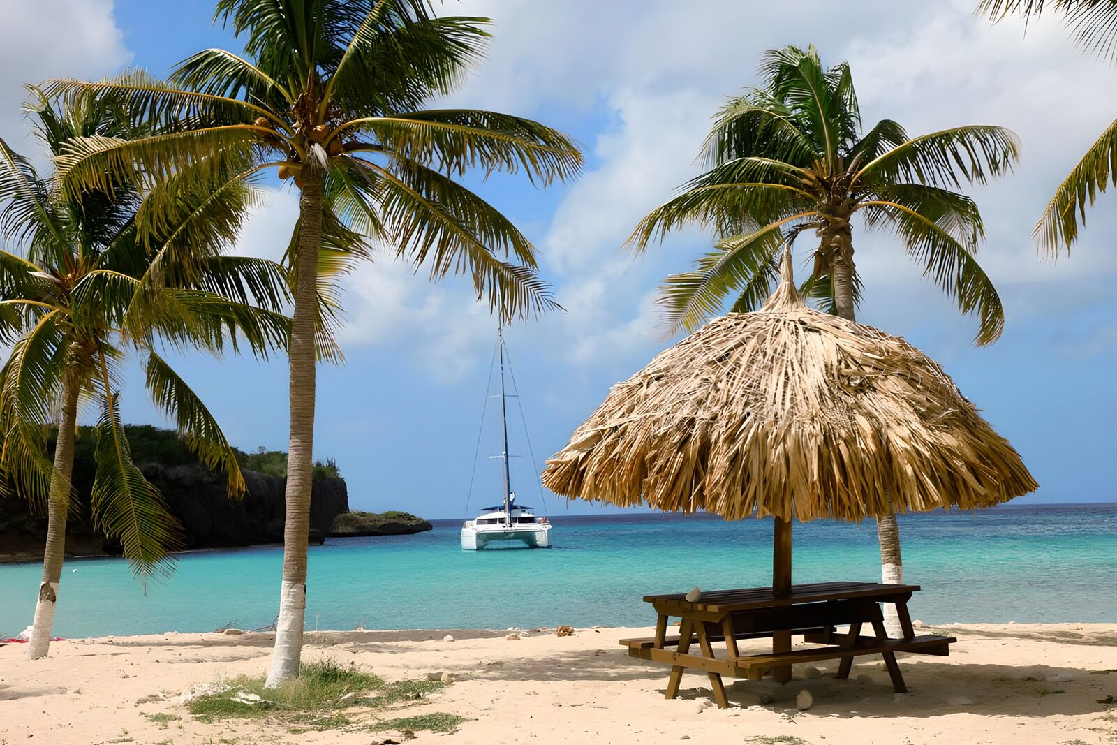 TPES53783: Playa tropical con palmeras y catamarán