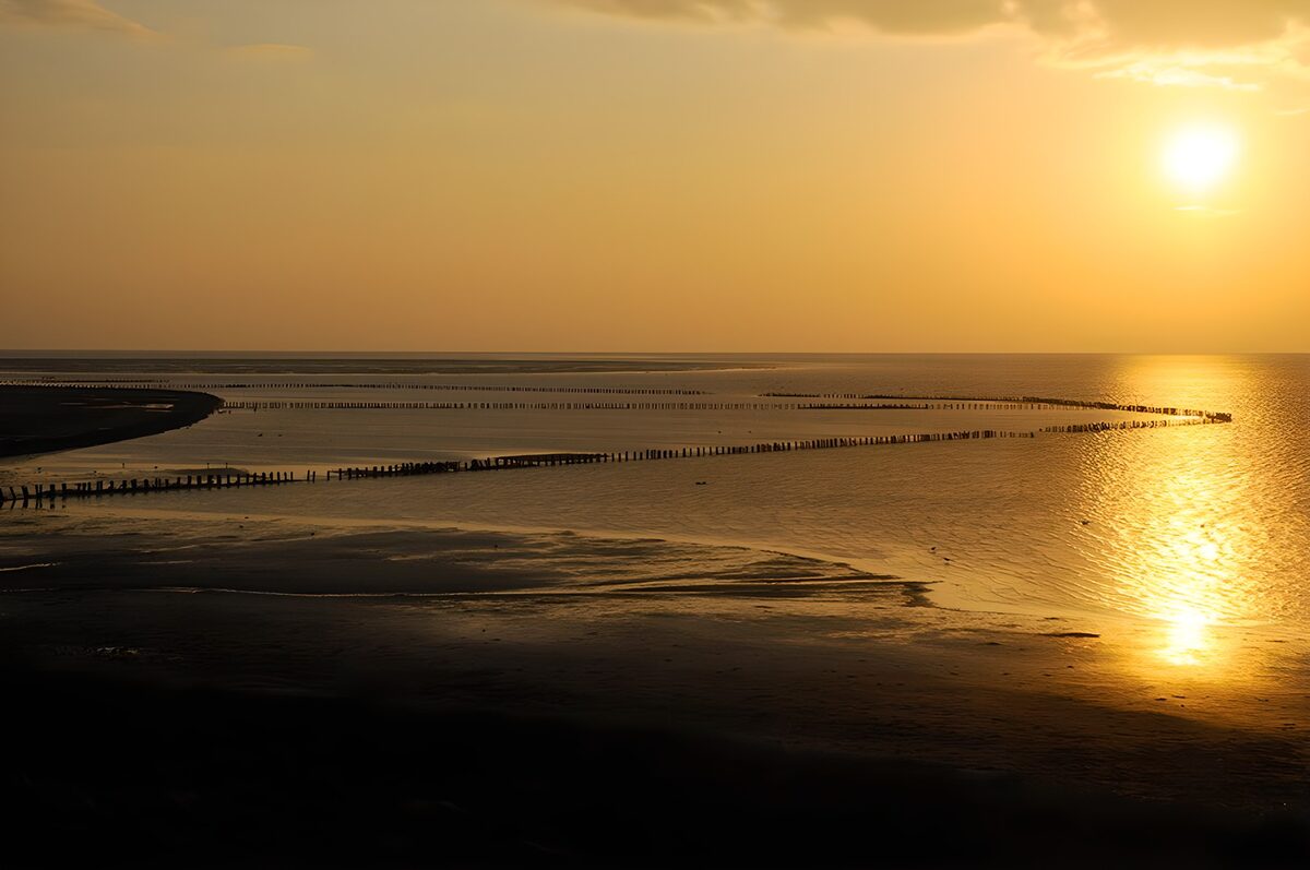 Atardecer dorado entre espigones