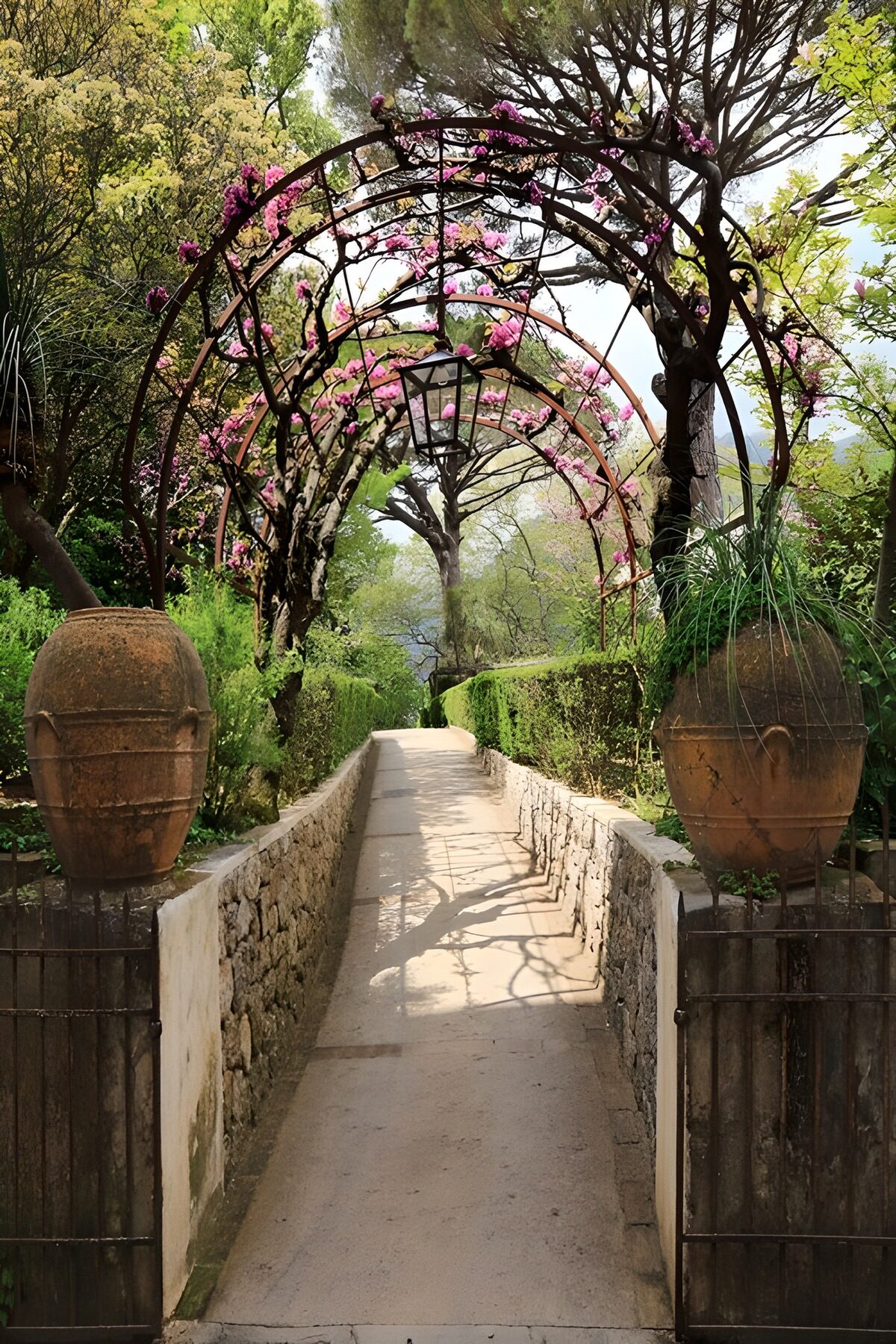 TPES78693: Sendero bajo arcos de flores rosas