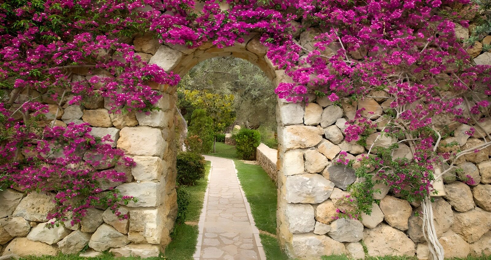 TPES66466: Arco de piedra entre buganvillas rosas