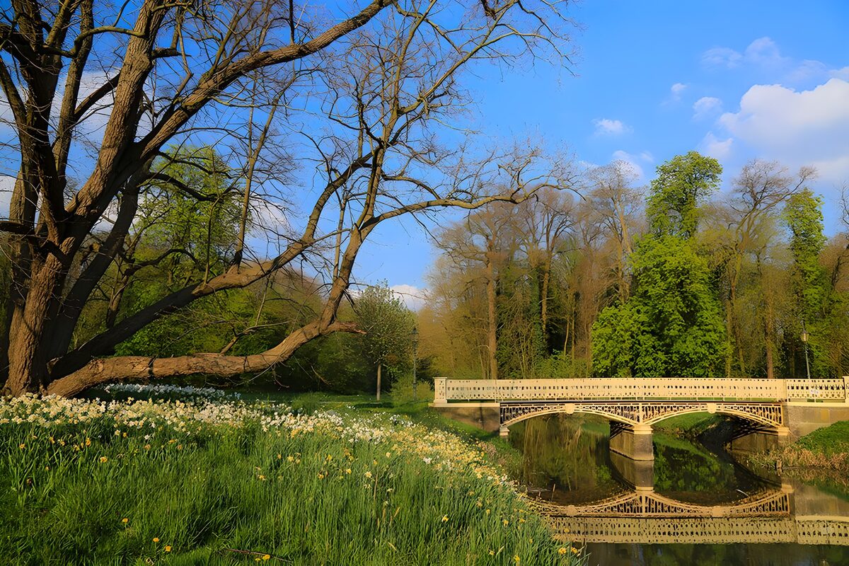 TPES73776: Puente y flores en un parque de primavera