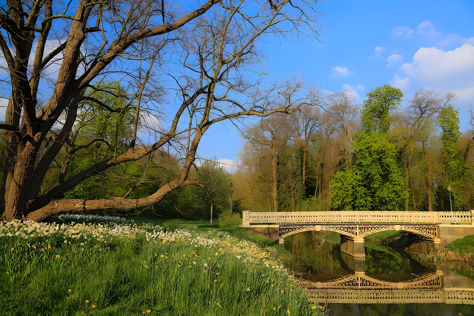 TPES73776: Puente y flores en un parque de primavera