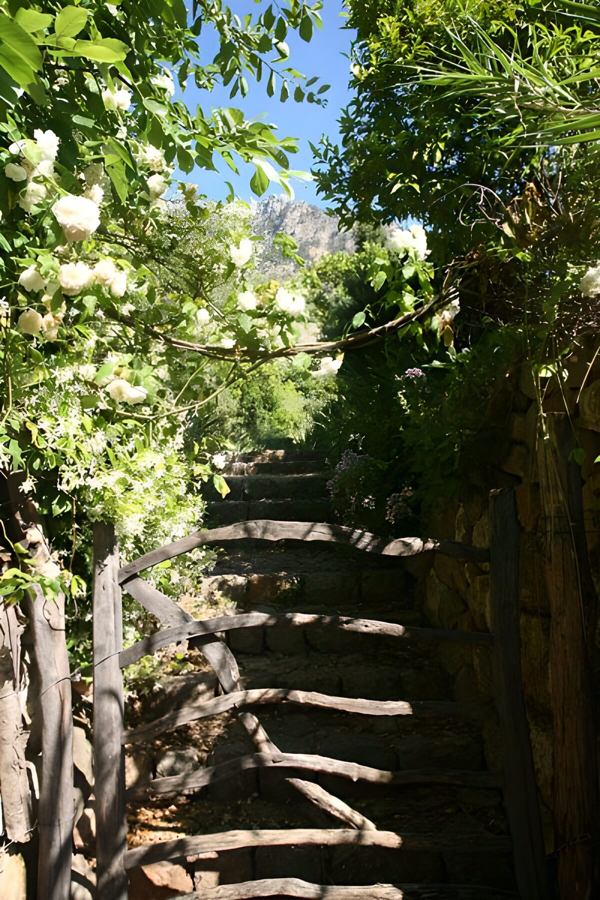 Escalera de jardín tras una puerta rústica