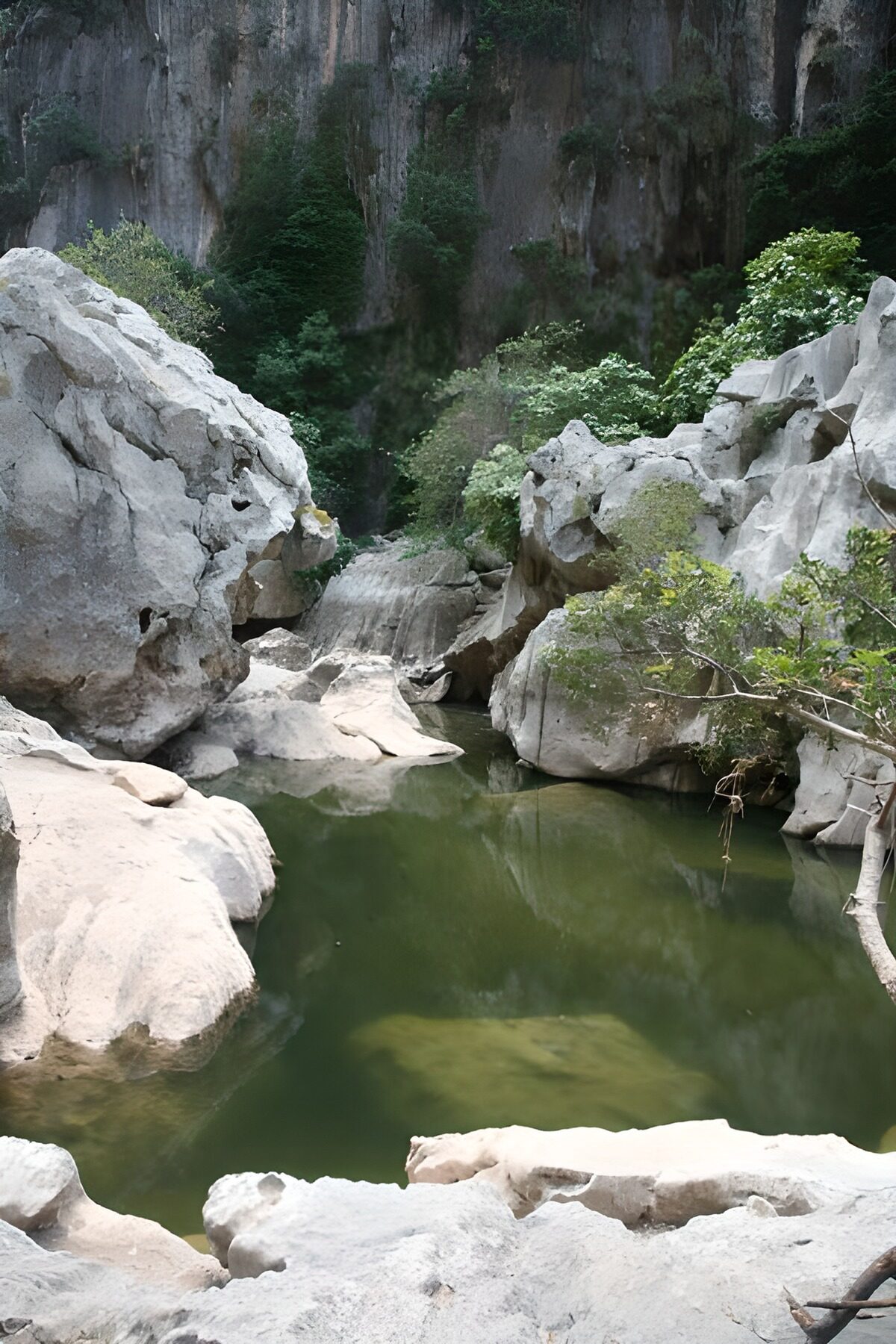 TPES47010: Silencio verde entre paredes de roca