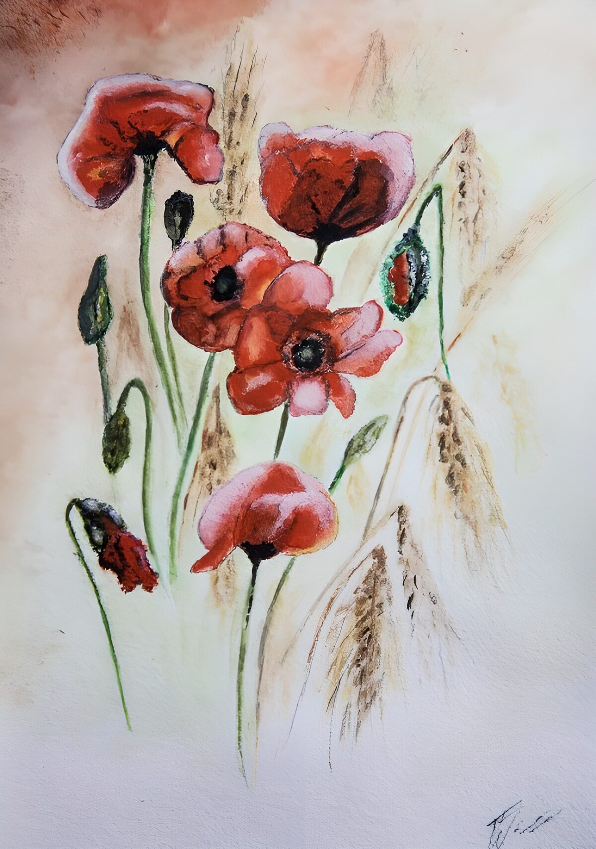 TPES86709: Amapolas rojas y rosas en acuarela