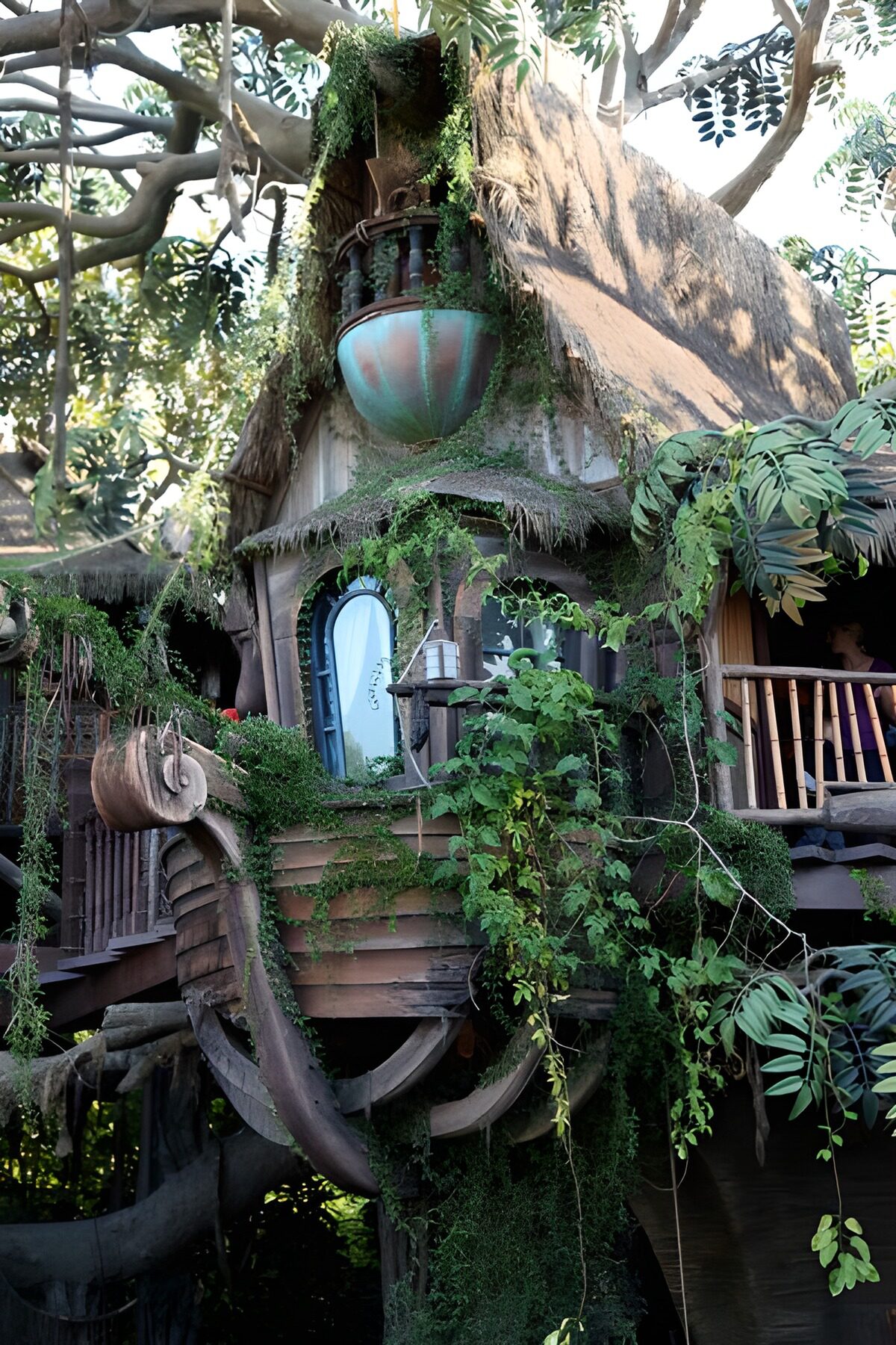 TPES48416: Casa del árbol con balcón y enredaderas