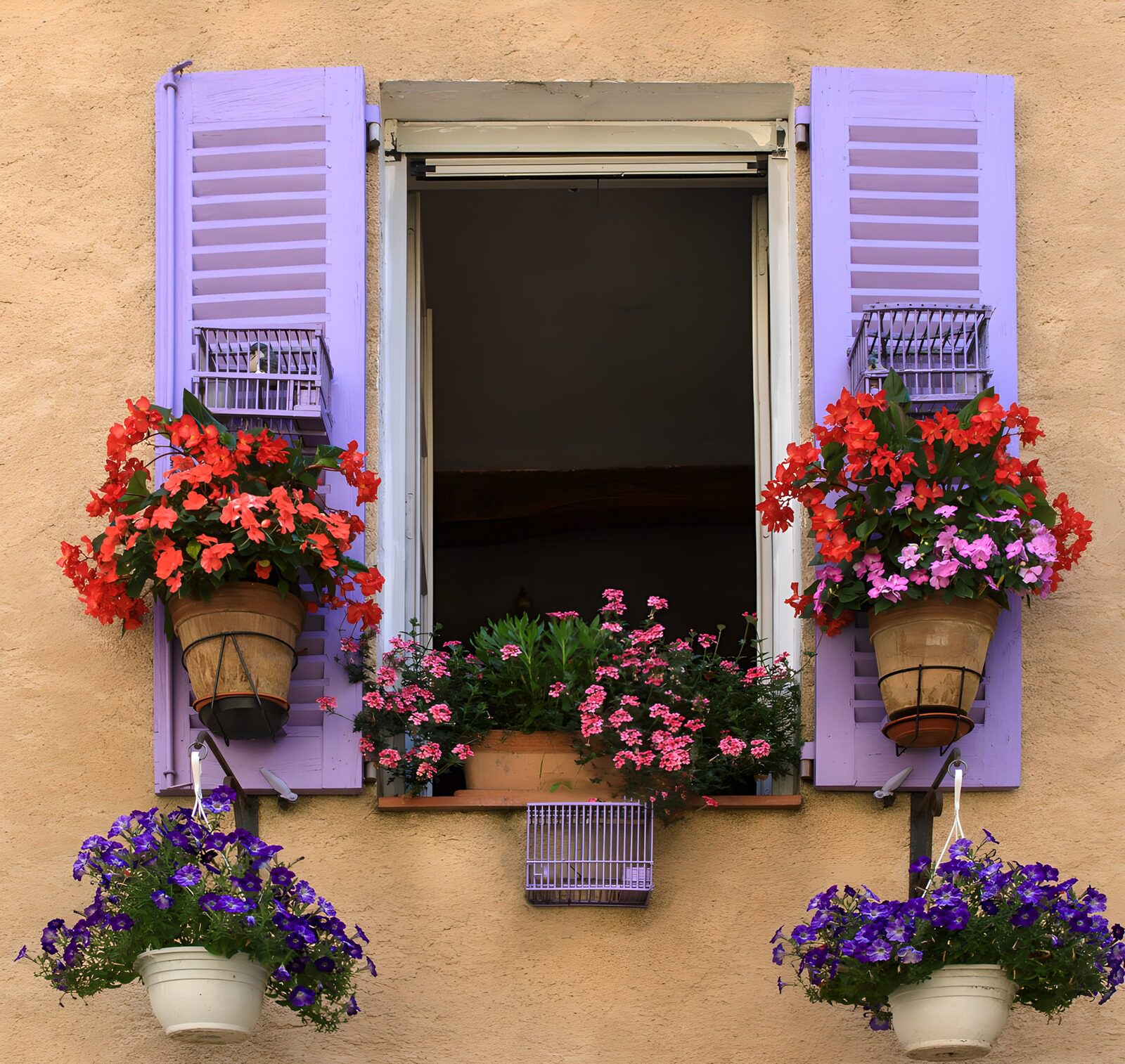 TPES57785: Ventana con contraventanas lilas y flores