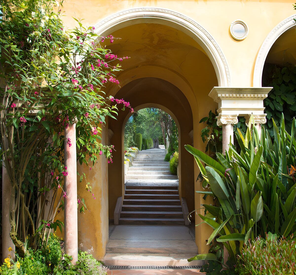 TPES73606: Arcos amarillos y un jardín en sombra