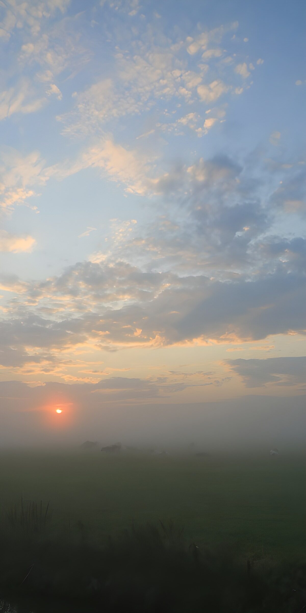 TPES28078: Amanecer sobre un prado con niebla