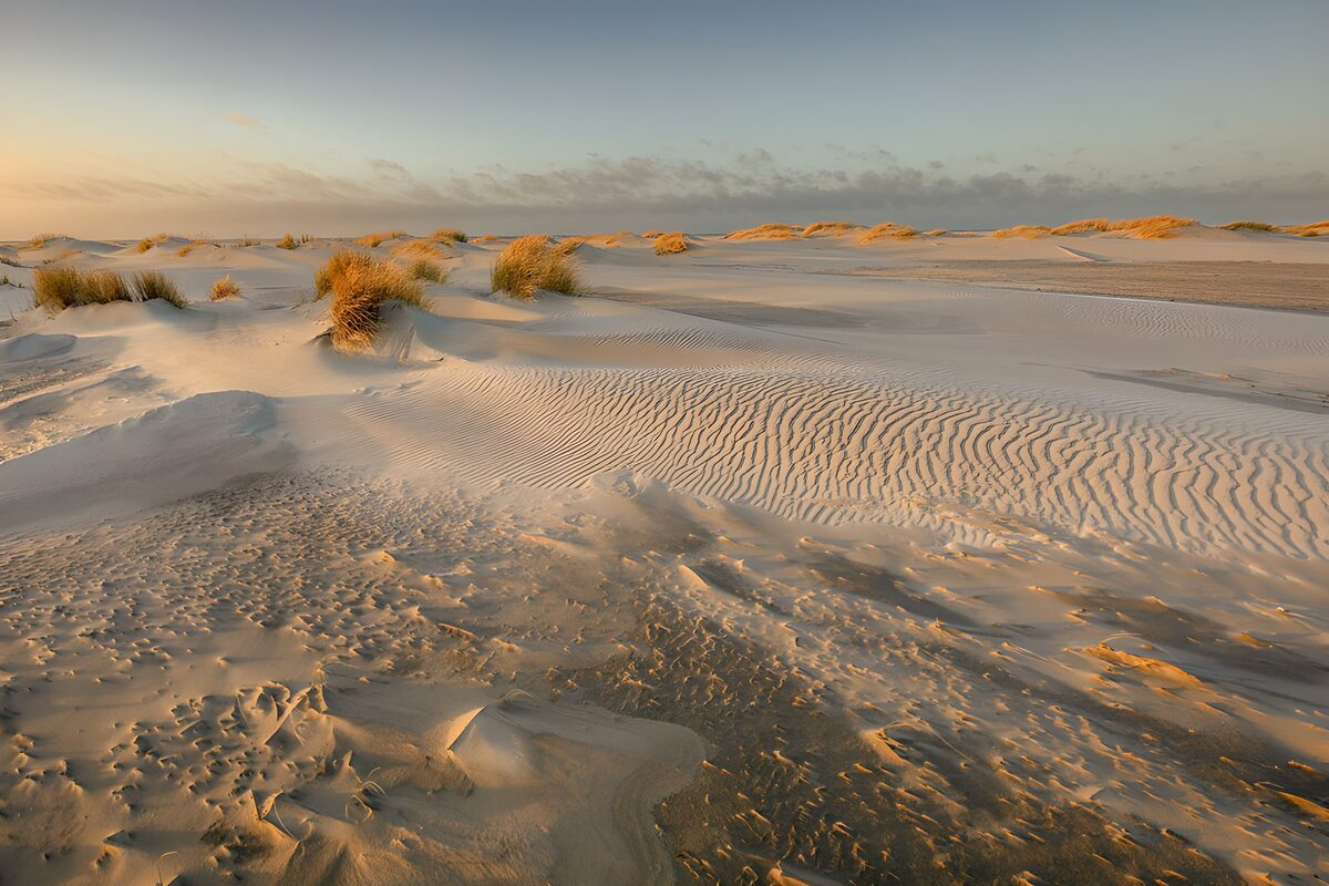 Dunas y hierba a la luz del atardecer