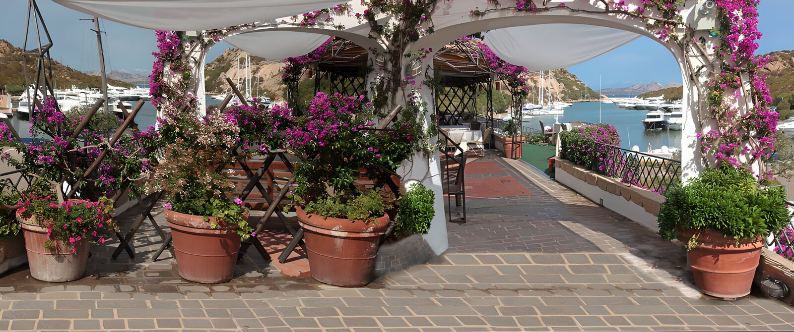 TPES84263: Terraza florida junto al puerto