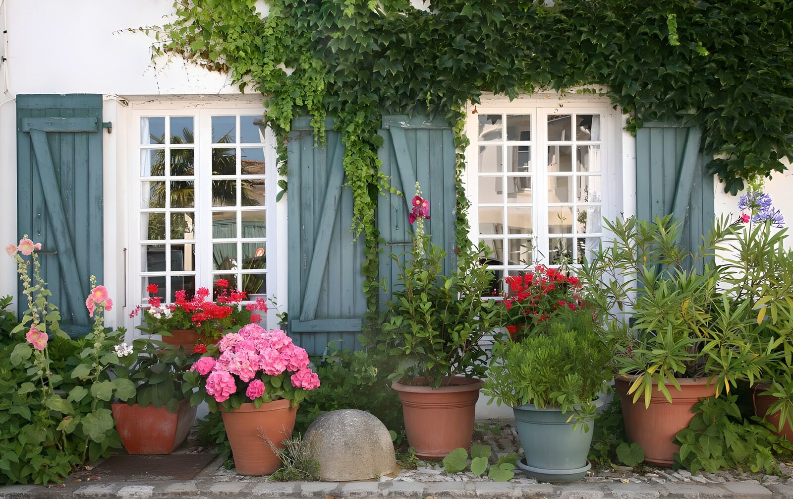 TPES44873: Ventanas blancas entre hiedra y flores