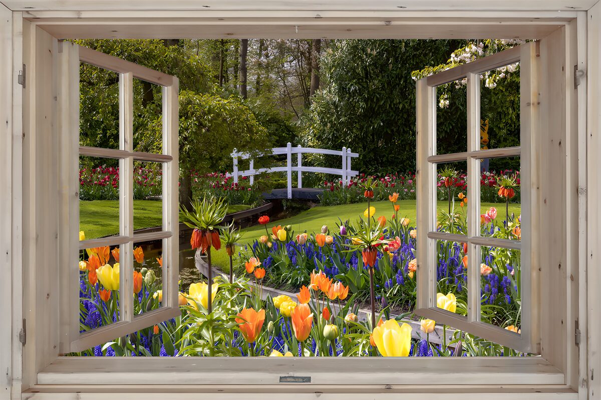 Una ventana al despertar de los tulipanes