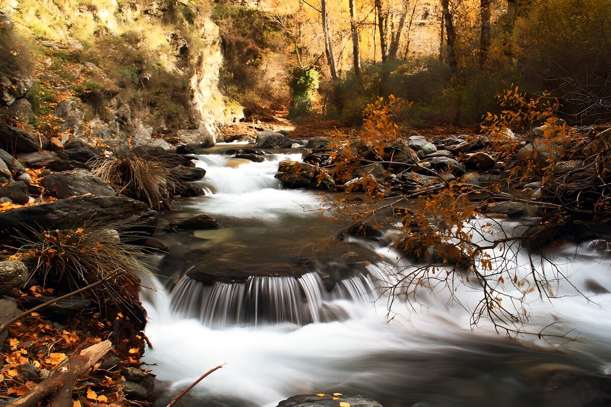 TPES50179: Cascadas entre rocas y hojas de otoño