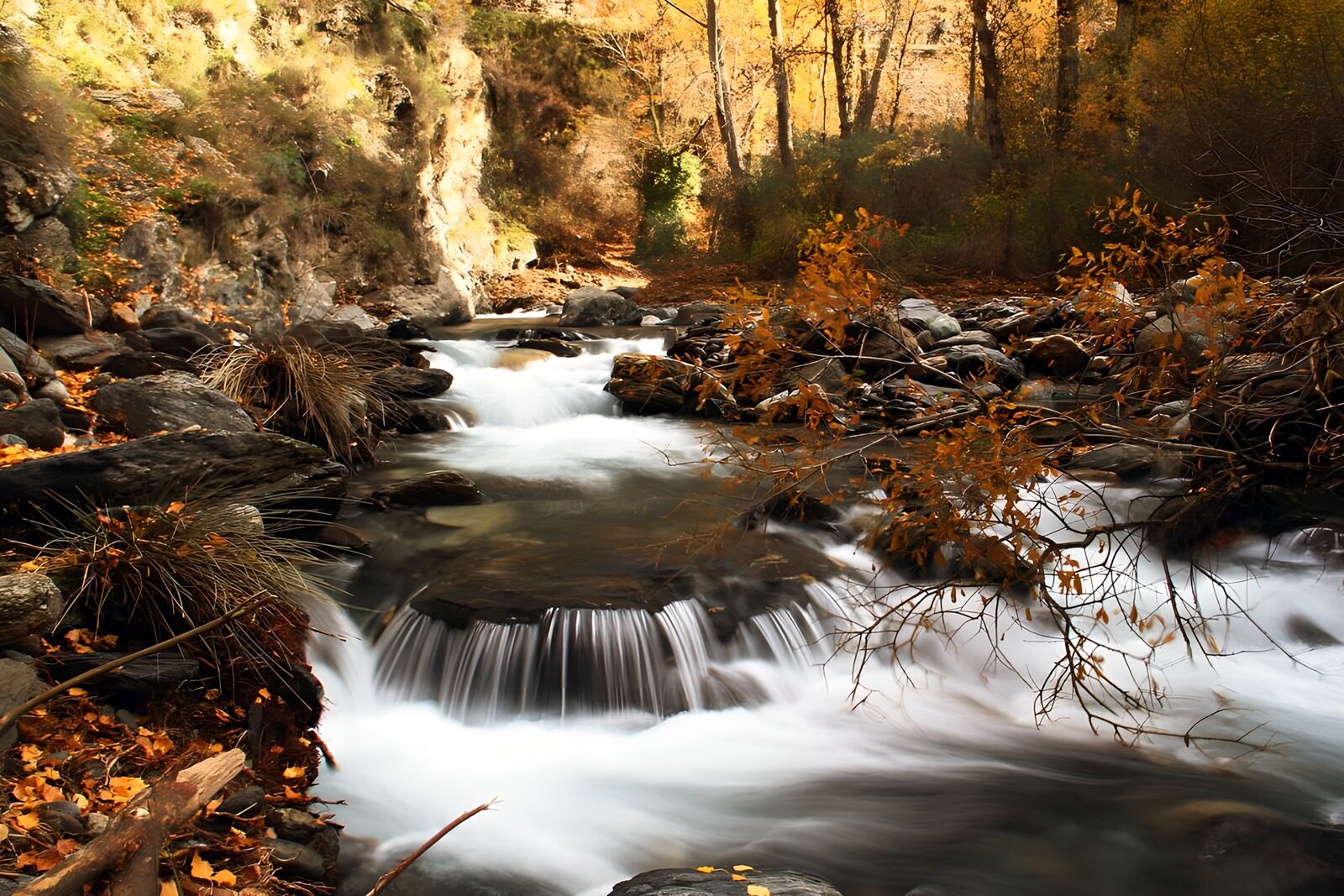 TPES50179: Cascadas entre rocas y hojas de otoño