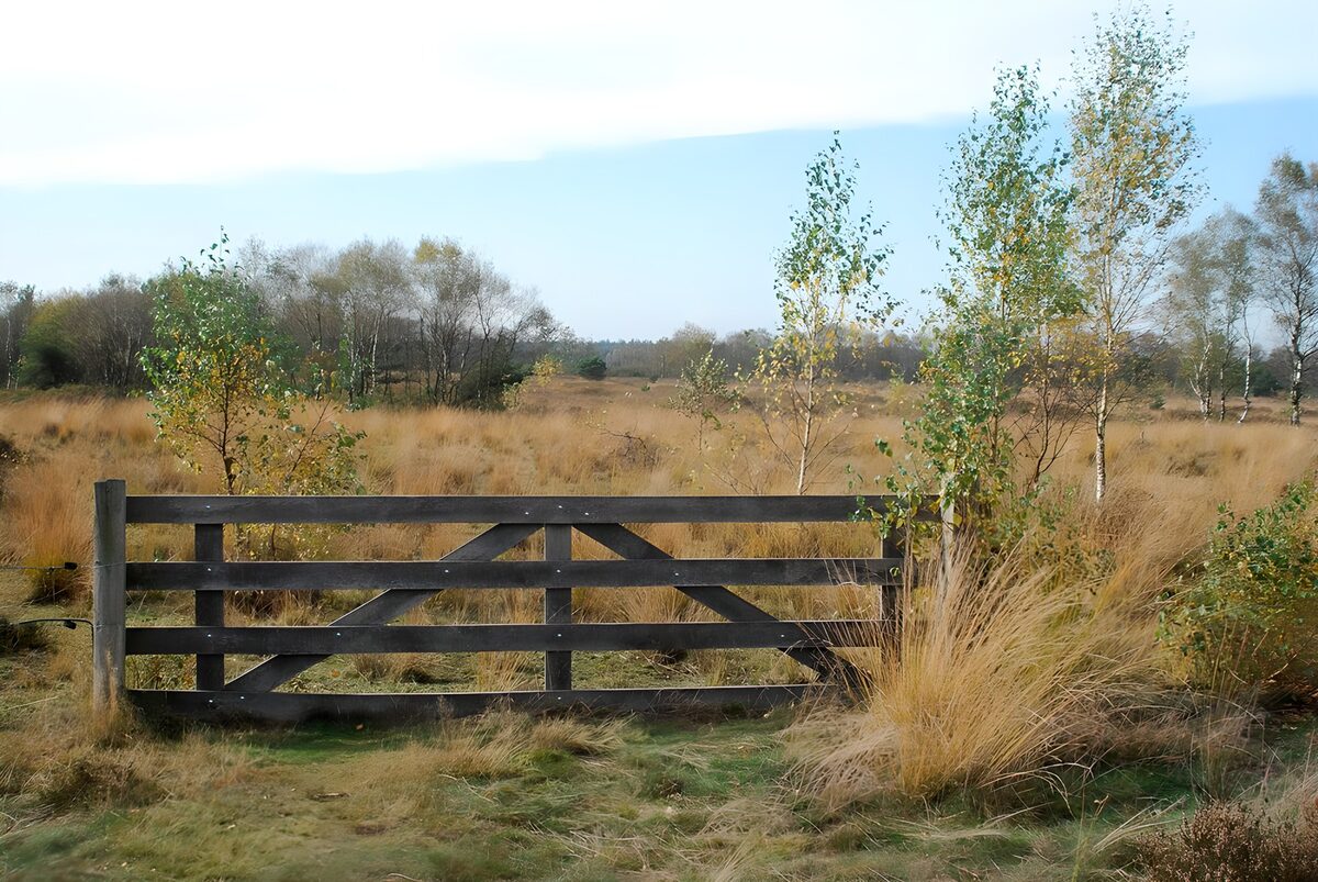 Portón de madera entre hierbas de otoño