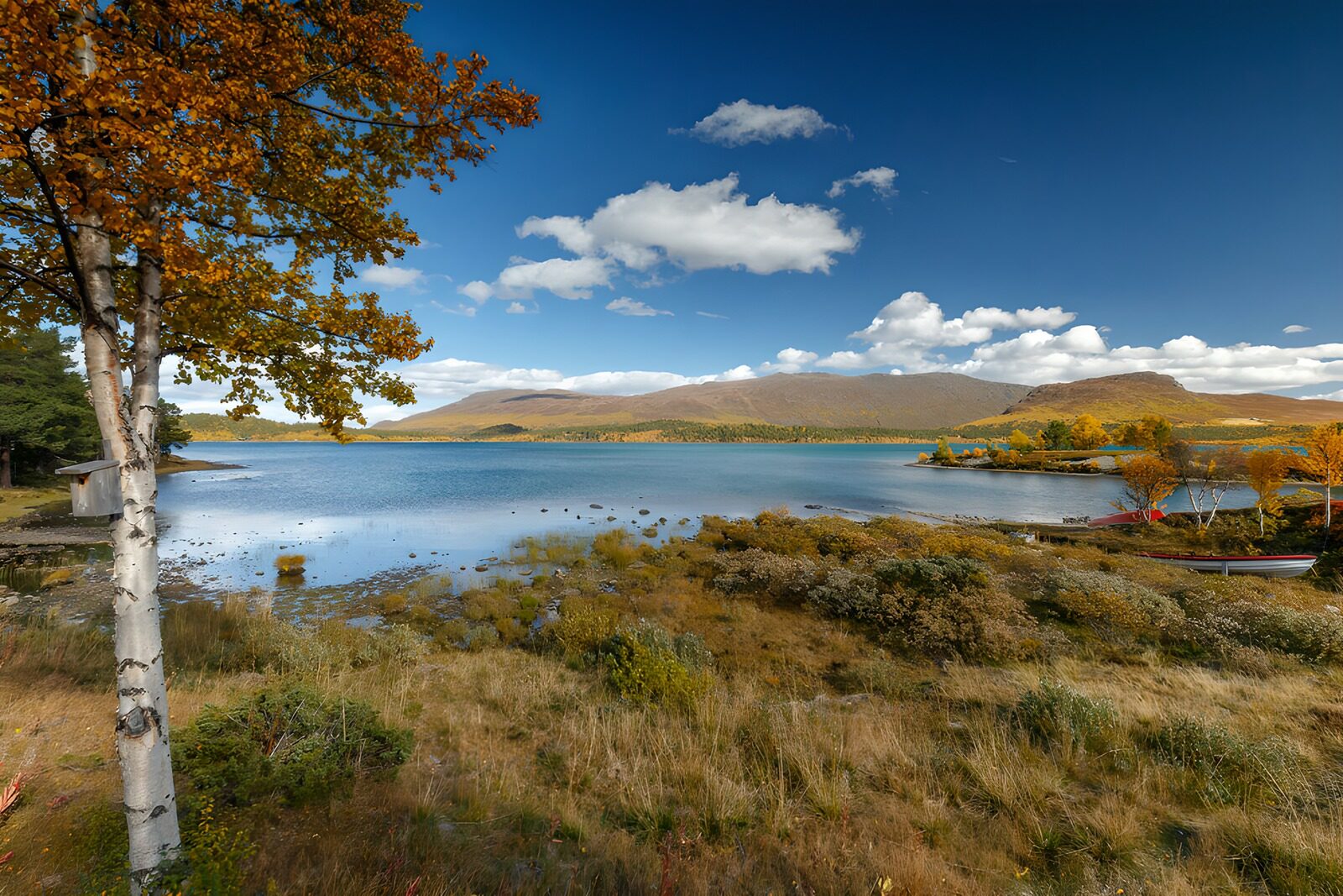 TPES95539: Lago azul entre colinas de otoño